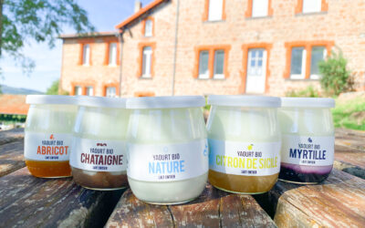 Développement de la Laiterie de La Roche